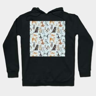 Pencil drawn dog Hoodie